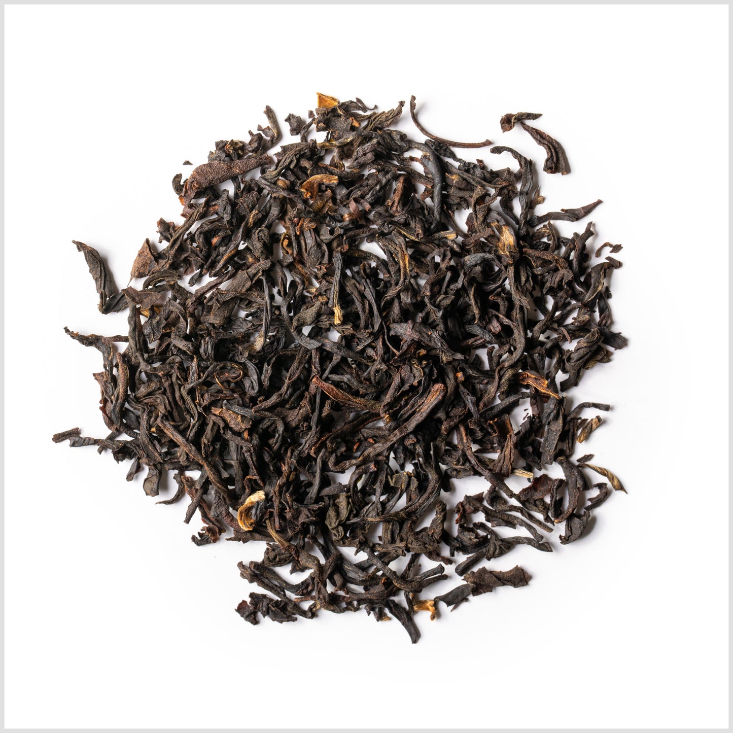 Lord Bergamot No. 55